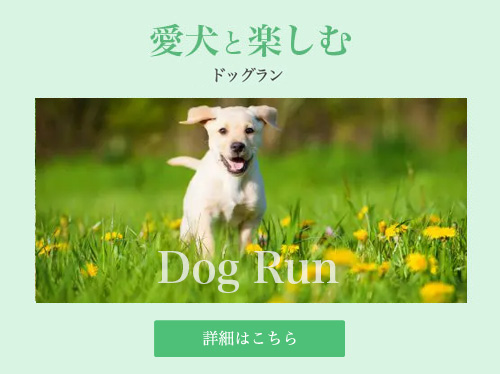 DOG RUN & CAFE