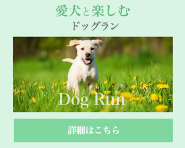 RUN & CAFE